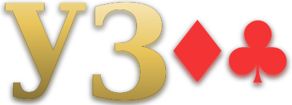 y300 logo